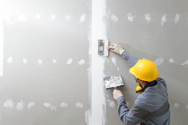 Best Environmental Consulting for Mold Prevention  in Chama, NM