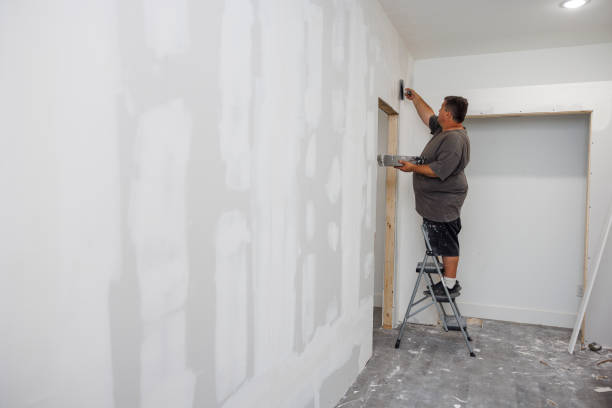 Best Asbestos and Lead Testing During Mold Inspection  in Chama, NM