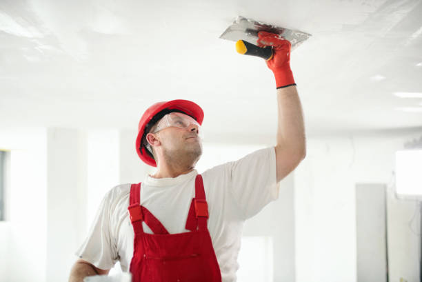 Best Emergency Mold Remediation  in Chama, NM