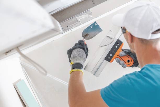 Best Biohazard Mold Removal  in Chama, NM
